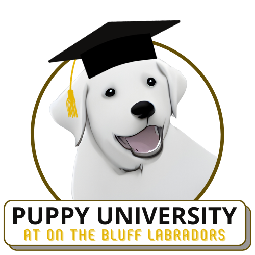 Puppy University Logo